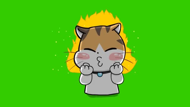 Katt Söt Animation Grön Skärm Känslor Karaktär Video — Stockvideo