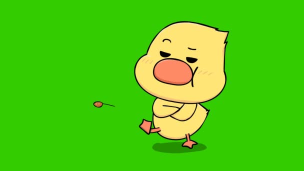 Littel Pato Animación Pantalla Verde Emoción Personaje Video — Vídeos de Stock