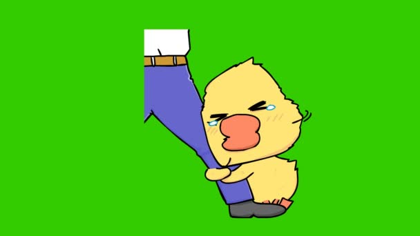 Littel Duck Animation Green Screen Emotion Character Video — Stock Video