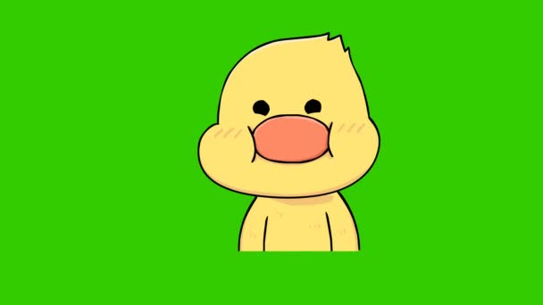 Kiskacsa Animáció Zöld Képernyőn Érzelem Karakter Videó — Stock videók