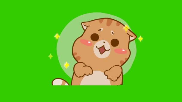 Animazione Carina Gatto Sullo Schermo Verde Personaggio Emozione Video — Video Stock