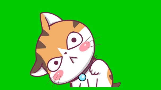 Chat Animation Mignonne Sur Écran Vert Personnage Émotion Vidéo — Video