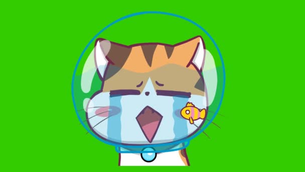 绿色屏幕上的猫可爱动画 情感字符4K视频 — 图库视频影像
