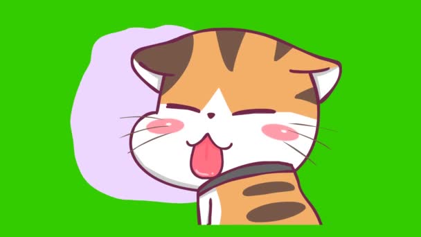 Yeşil Ekranda Kedi Animasyonu Duygu Karakteri Video — Stok video