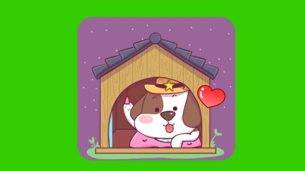 绿色屏幕上可爱的狗狗动画 情感字符4K视频 — 图库视频影像