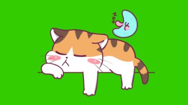 Yeşil ekranda kedi animasyonu, duygu karakteri 4k video