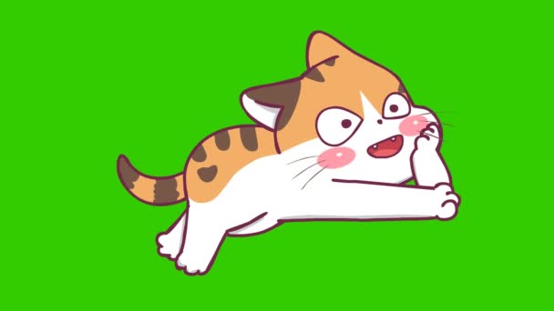 Animazione Carina Gatto Sullo Schermo Verde Personaggio Emozione Video — Video Stock