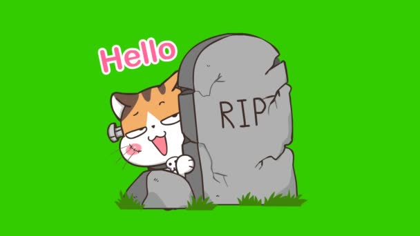 Хэллоуин Cat Анимация Зеленом Экране Эмоциональный Персонаж Видео — стоковое видео