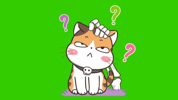 Halloween Katzen Animation Auf Grünem Bildschirm Emotionaler Charakter Video — Stockvideo