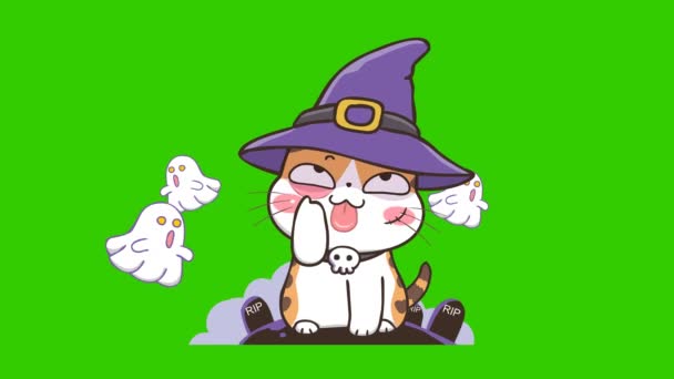 Animation Halloween Cat Sur Écran Vert Personnage Émotion Vidéo — Video