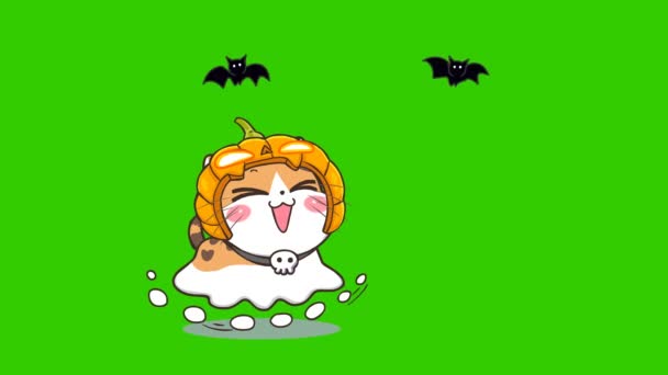 Halloween Cat Animation Green Screen Emotion Character Video — Stock Video