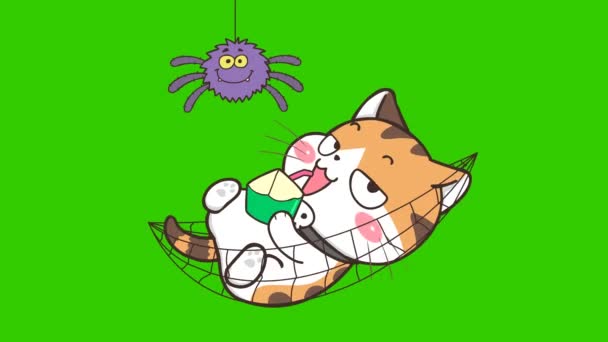 Animazione Halloween Cat Sullo Schermo Verde Personaggio Emozione Video — Video Stock