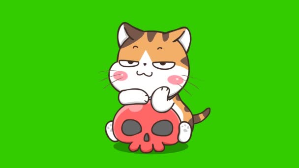 Yeşil Ekranda Cadılar Bayramı Kedi Animasyonu Duygu Karakteri Video — Stok video