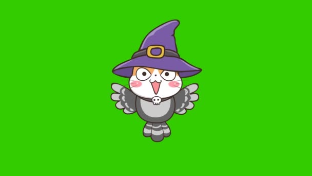 Halloween Cat Animação Tela Verde Emoção Personagem Vídeo — Vídeo de Stock