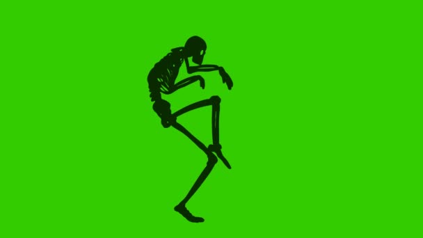 Skelett Promenad Grön Skärm Video — Stockvideo