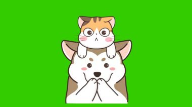 Yeşil ekranda yaz kedisi animasyonu, duygu karakteri 4k video
