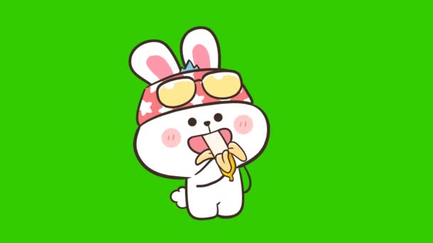 Lindo Conejo Animación Pantalla Verde Emoción Carácter Video — Vídeos de Stock