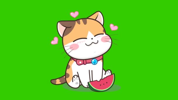 Animación Gato Verano Pantalla Verde Personaje Emoción Video — Vídeo de stock