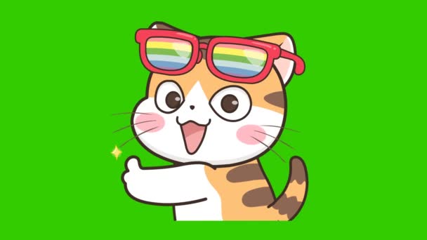 Letní Kočičí Animace Zelené Obrazovce Emotivní Charakter Video — Stock video