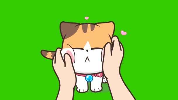 Letni Kot Animacja Zielonym Ekranie Emocje Postać Wideo — Wideo stockowe