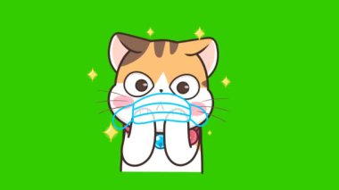 Yeşil ekranda kedi animasyonu, duygu karakteri 4k video