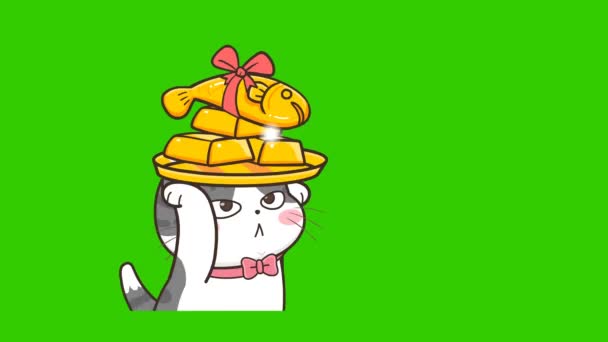 Gato Bonito Animação Tela Verde Emoção Personagem Vídeo — Vídeo de Stock
