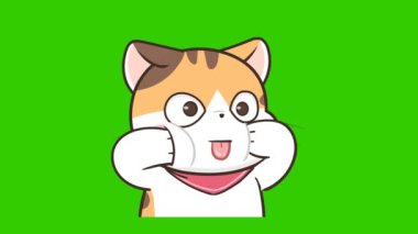 Yeşil ekranda kedi animasyonu, duygu karakteri 4k video