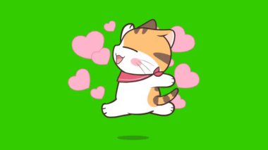 Yeşil ekranda kedi animasyonu, duygu karakteri 4k video