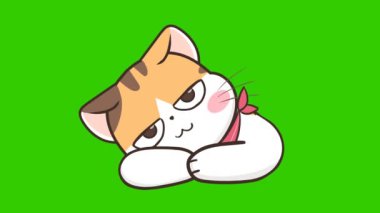 Yeşil ekranda kedi animasyonu, duygu karakteri 4k video