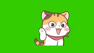 Yeşil ekranda kedi animasyonu, duygu karakteri 4k video