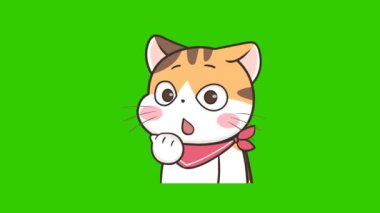 Yeşil ekranda kedi animasyonu, duygu karakteri 4k video