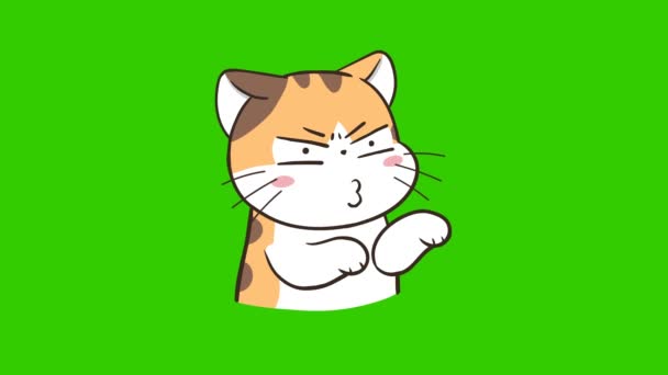 Gato Linda Animación Pantalla Verde Emoción Personaje Video — Vídeo de stock