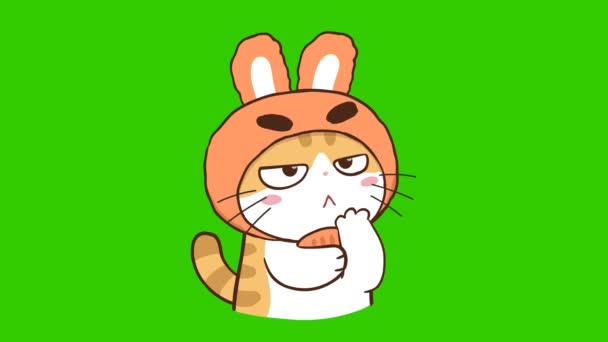Cat Cute Animacja Zielonym Ekranie Emocje Postać Wideo — Wideo stockowe