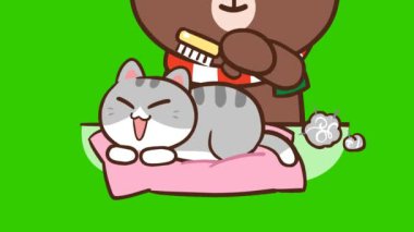 Yeşil ekranda kedi animasyonu, duygu karakteri 4k video