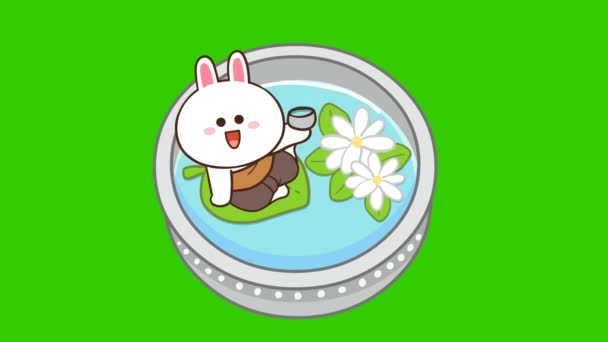 緑のスクリーンでかわいいウサギのアニメーション 感情キャラクター4Kビデオ — ストック動画