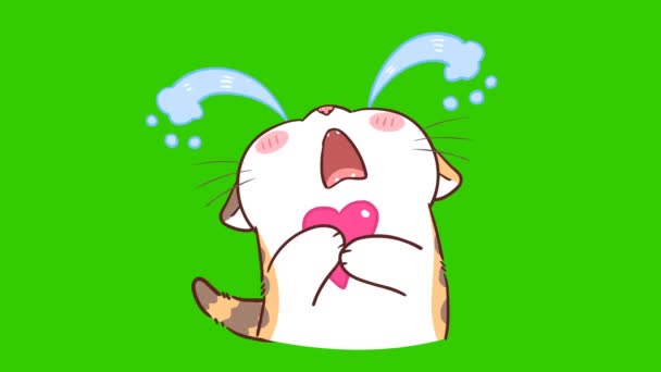 Kočka Roztomilá Animace Zelené Obrazovce Emotivní Charakter Video — Stock video
