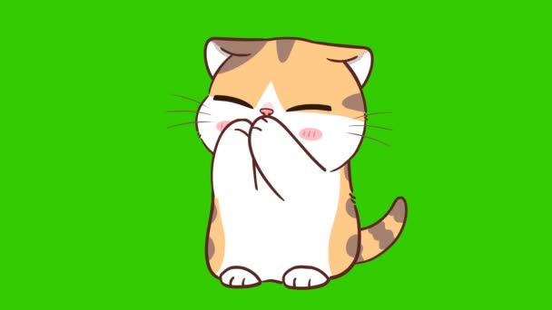 Yeşil Ekranda Kedi Animasyonu Duygu Karakteri Video — Stok video