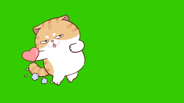 Αστείο Animation Γάτα Στην Πράσινη Οθόνη Συναίσθημα Χαρακτήρα Βίντεο — Αρχείο Βίντεο