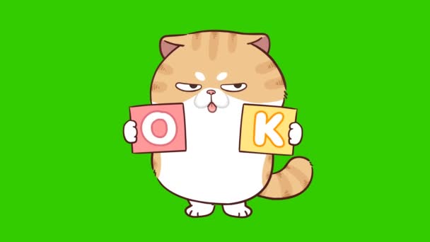 Divertido Gato Animación Verde Pantalla Emoción Personaje Video — Vídeos de Stock