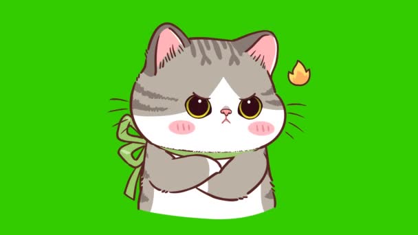 Γάτα Χαριτωμένο Animation Πράσινη Οθόνη Συναίσθημα Χαρακτήρα Βίντεο — Αρχείο Βίντεο