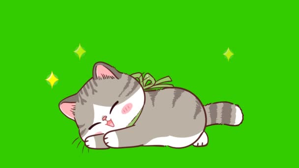 Кішка Мила Анімація Зеленому Екрані Емоційний Персонаж Відео — стокове відео