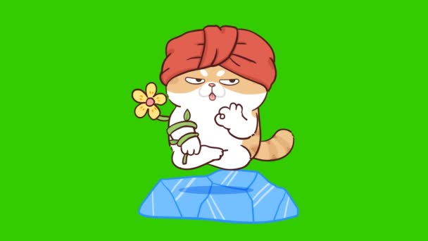 Katze Niedliche Animation Auf Grünem Bildschirm Emotionen Charakter Video — Stockvideo