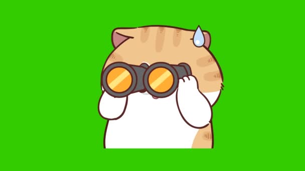 Кішка Мила Анімація Зеленому Екрані Емоційний Персонаж Відео — стокове відео