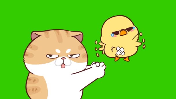 Macska Aranyos Animáció Zöld Képernyõ Érzelem Karakter Videó — Stock videók