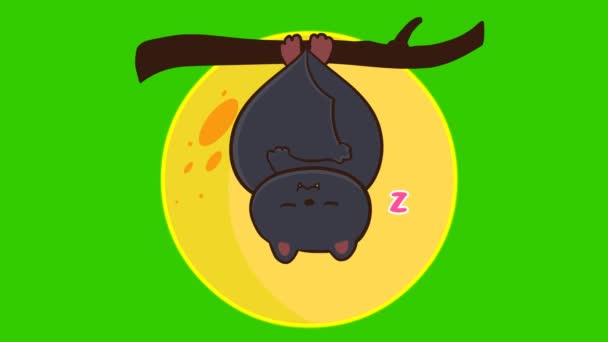 Halloween Cat Animacja Zielonym Ekranie Emocje Postać Wideo — Wideo stockowe