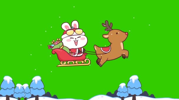 Кролик Веселого Рождества Анимация Зеленом Экране Эмоциональный Персонаж Видео — стоковое видео