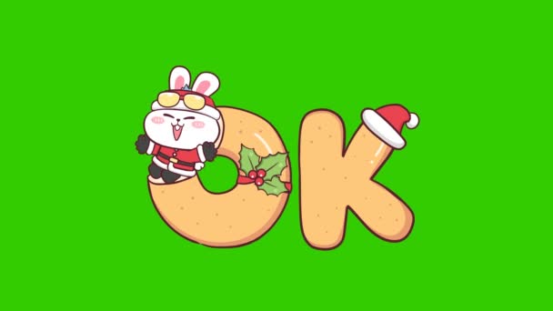 Conejo Alegre Animación Navidad Pantalla Verde Emoción Personaje Video — Vídeos de Stock