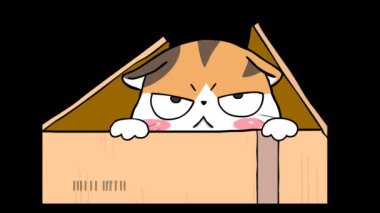 Kedi Sürprizi Canlandırması - Beyaz Arkaplan