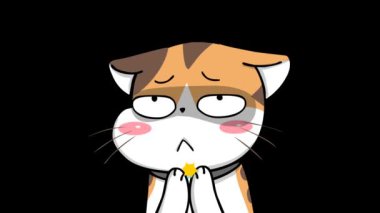 İğneleyici Kedi Animasyonu 