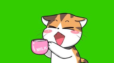 Pembe Sütlü Şirin Kedi Yavrusu